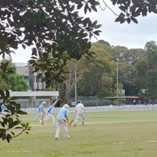 Seven cricketers on an oval batting and fielding, some in white or blue uniforms